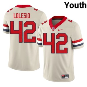 The Wildcats #42 College Football Dominic Lolesio Cream Embroidery Youth Jersey 166672-845