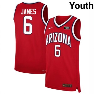 Arizona Wildcats Youth Bryce James Red College Basketball NCAA #6 Jerseys 209027-729